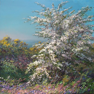 MARK PRESTON - mayblossom, alport height
